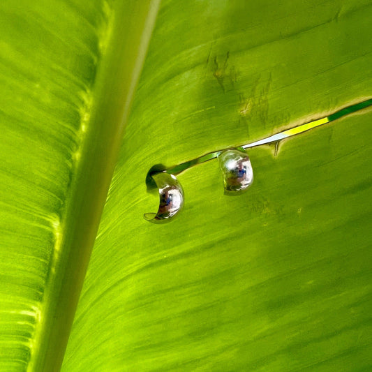 Dainty Hoop Stud Earrings - Small World Goods