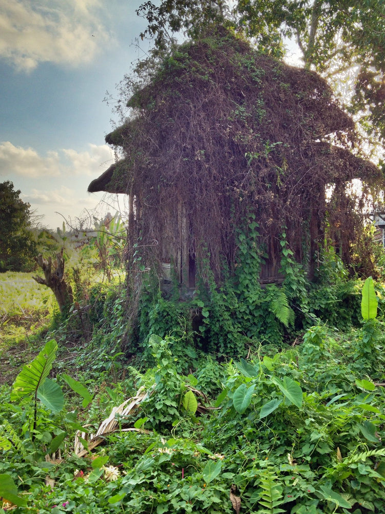 INDONESIA - Small World Goods