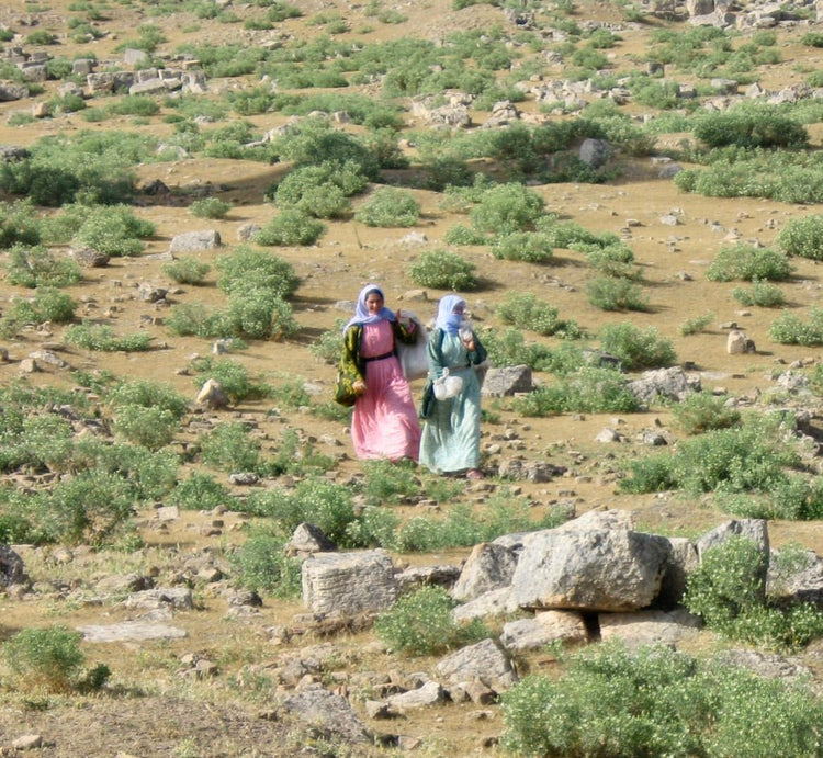 TURKEY - Small World Goods