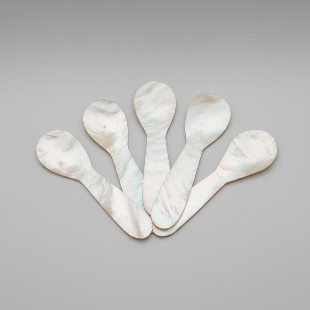 little shell spoons